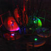 7 Mode Led Lights Assorted Colors - Disc Golf Any Time 5290023