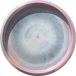Discraft Paul McBeth 5X ESP Swirly Buzzz