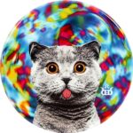 DYEMAX Dynamic Discs Lat 64 Westside Discs