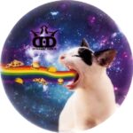 DYEMAX Dynamic Discs Lat 64 Westside Discs
