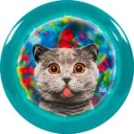 DYEMAX Dynamic Discs Lat 64 Westside Discs